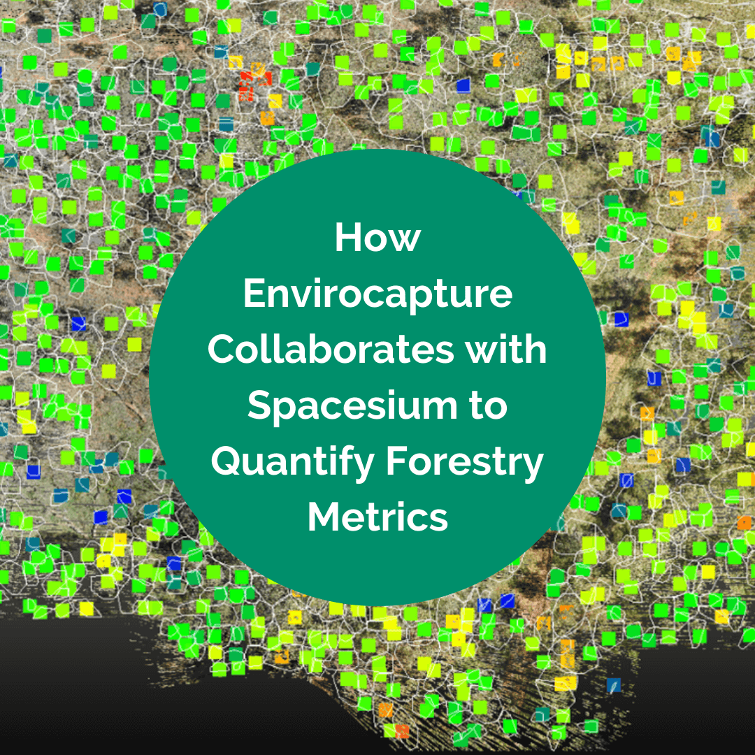 Envirocapture | Spacesium | Environmental Scanning | LiDAR | Case Study